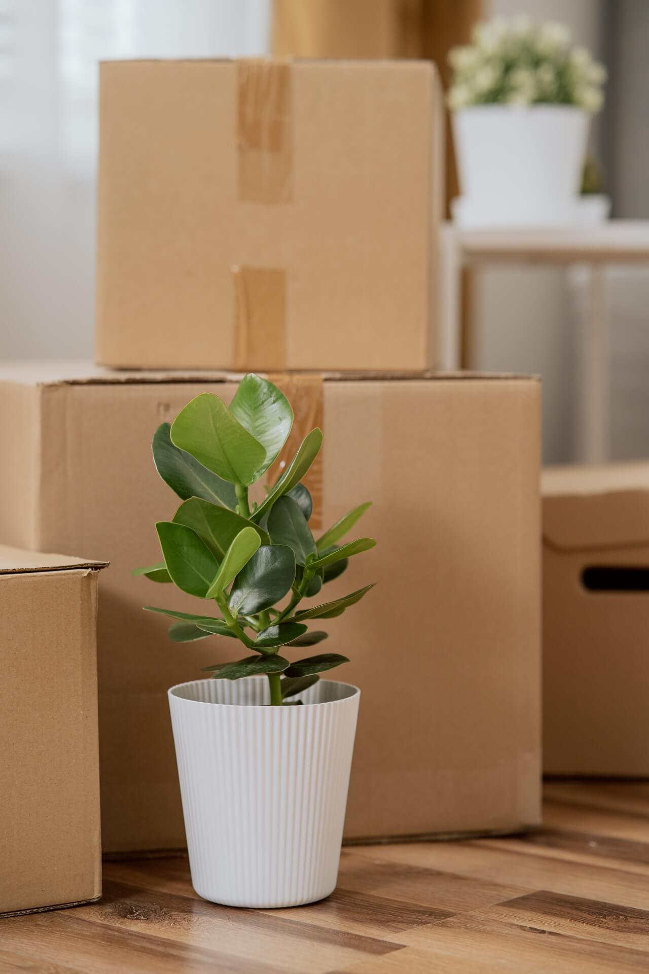 Household Moving Checklist: LA Edition for Stress-Free Relocation